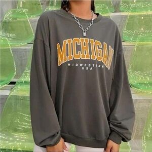 Gray Brown Michigan Midwestern USA Women's Sweater